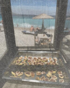 Hare Sürel Instagram - 🐟