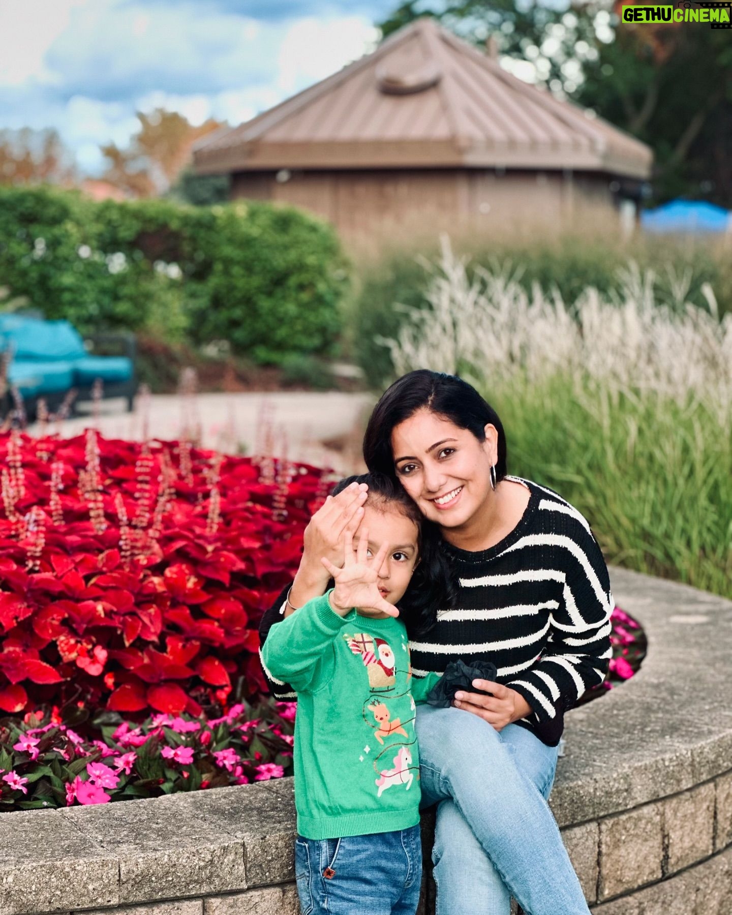 Harshdeep Kaur - 6.3K Likes - A beautiful Shaam in Chicago 🌥️