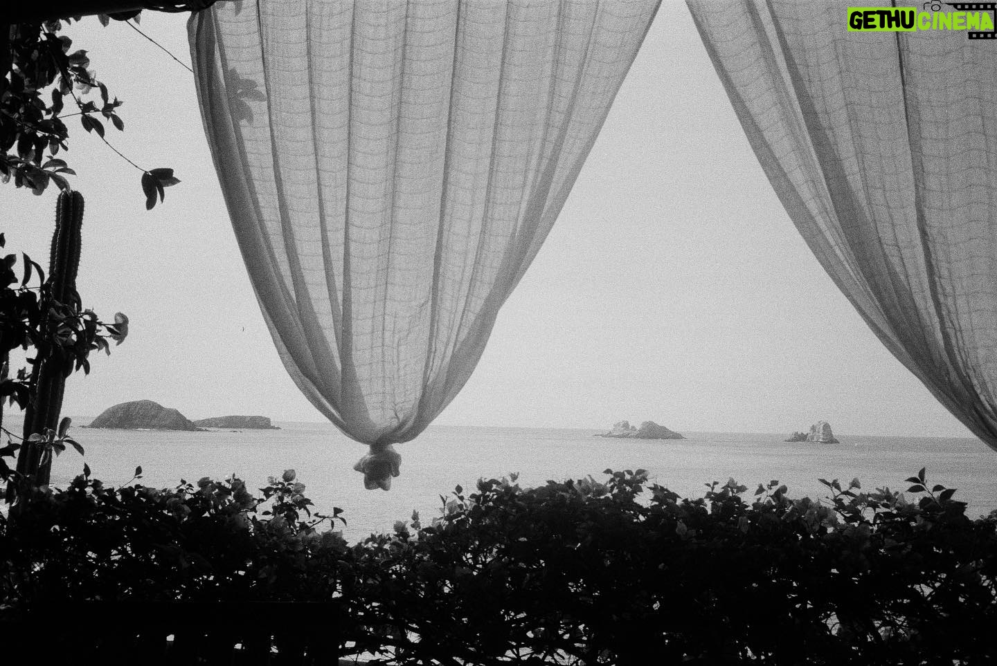 Hart Denton - 8.9K Likes - 21 days in Ixtapa, Mexico. A fever dream. The most beautiful experience I’ve ever had traveling. Eye opening and perspective changing. Thank you @calademarixtapa for making it all happen and for giving me something I will never be able to fully put into words adequately. I feel so blessed, fortunate, and grateful. Cala de Mar is unlike anywhere I’ve ever been. The kindest people and true professionals at guiding a soul to syncing up with the earth. Complete harmony. I cannot recommend this heavenly place enough. Eternal core memory. Thank you