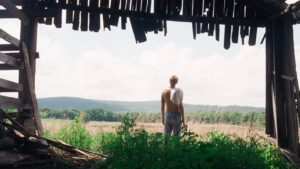 Hart Denton Instagram - 10 more stills of @gbendinelli’s masterful 35mm work on American Cherry
