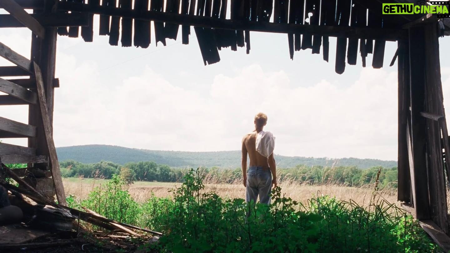 Hart Denton - 10.5K Likes - 10 more stills of @gbendinelli’s masterful 35mm work on American Cherry