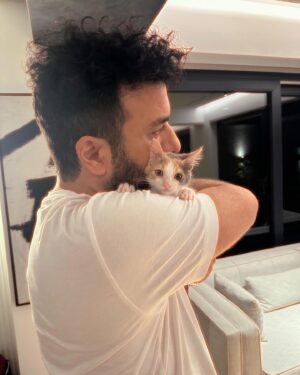 Hasan Can Kaya Instagram - Kendisi evin son sakini.. At hırsızı Izzet’i de sayarsak (sadece yemek yemeye geliyor) Bir ayda sahiplendiğimiz son ve üçüncü can. Iki hafta önce yolun kenarında ölmek üzereyken  bulduk. Bırakamadık. İki gözü kapalı, bütün vücudu iltihaplı ve karnı parazit doluydu. 
Hiç hareket etmiyordu. Veteriner fazla bağlanmayın dedi. İki  haftadır yoğun ilaç, tedavi sonrası dün böyle sıpaya dönüştüğünü gördük ❤️ 
Bu arada hakkını yemeyelim ekipten Didem annesi gibi iki hafta boyunca 24 saat ilgilendi. Yani sağolsun en çok onun emeği var :) 
Adı ‘Dürüm’ oldu :) ismiyle yaşasın.