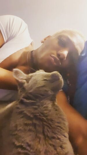 Hassan Aziz Instagram - Chloe and I watching #aewdynamite together 🐱🥰✨🐈