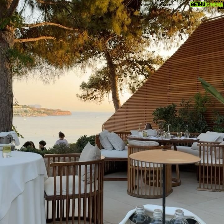 Hazar Ergüçlü - 64.4K Likes - 🌞