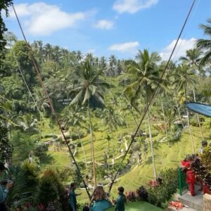 Helena Costa Instagram - Que sítio incrível! #cretya #ubud