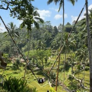 Helena Costa Instagram - Que sítio incrível! #cretya #ubud