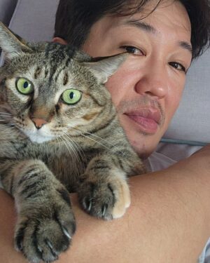 Heo Sung-tae Instagram - 고양이날 잘잔 고양이