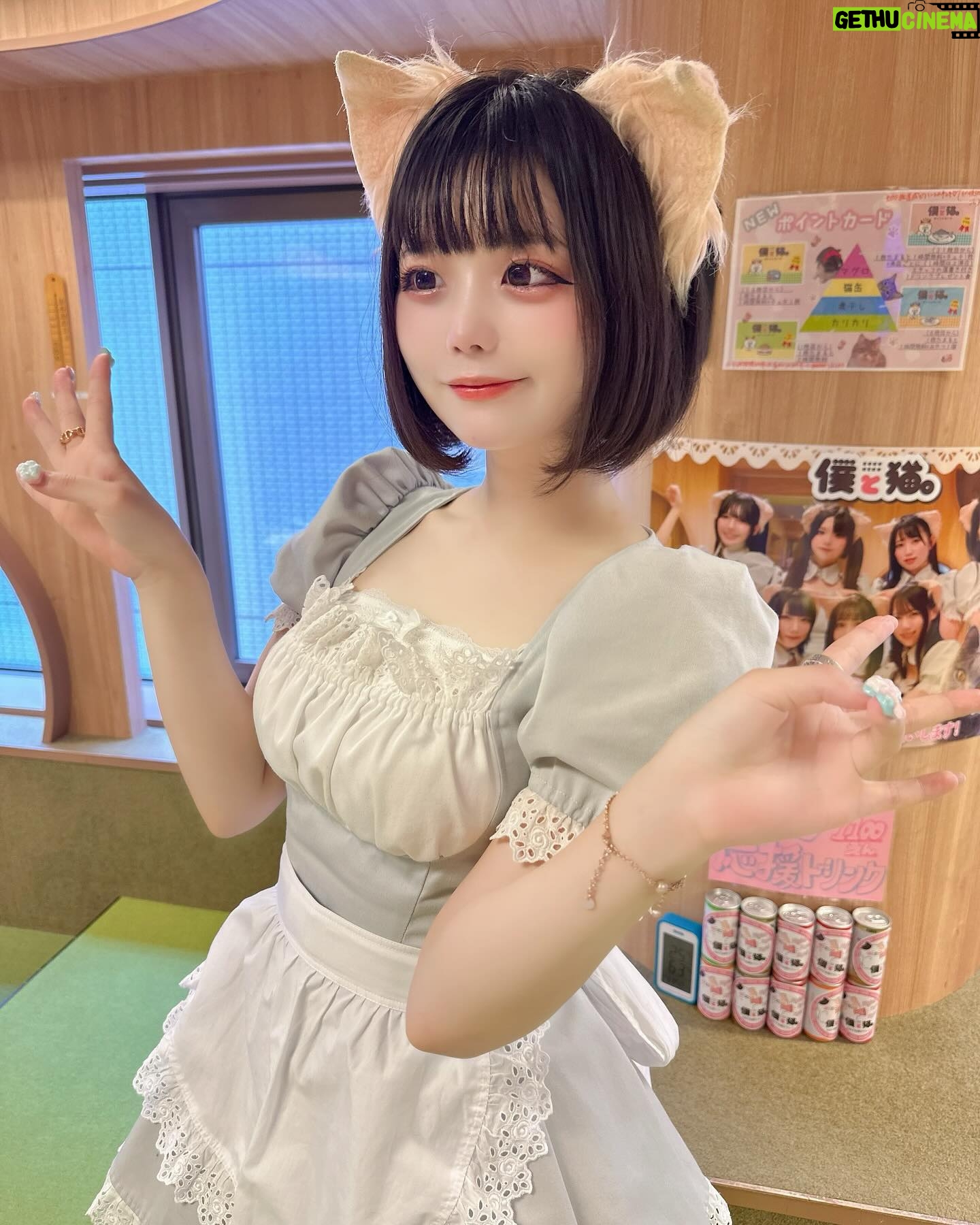 Hina Koyama - 2.4K Likes - メイツのiPhoneカメラにしたのとタレ目メイクにしたの変?(υ´•̥ ﻌ •̥`υ)