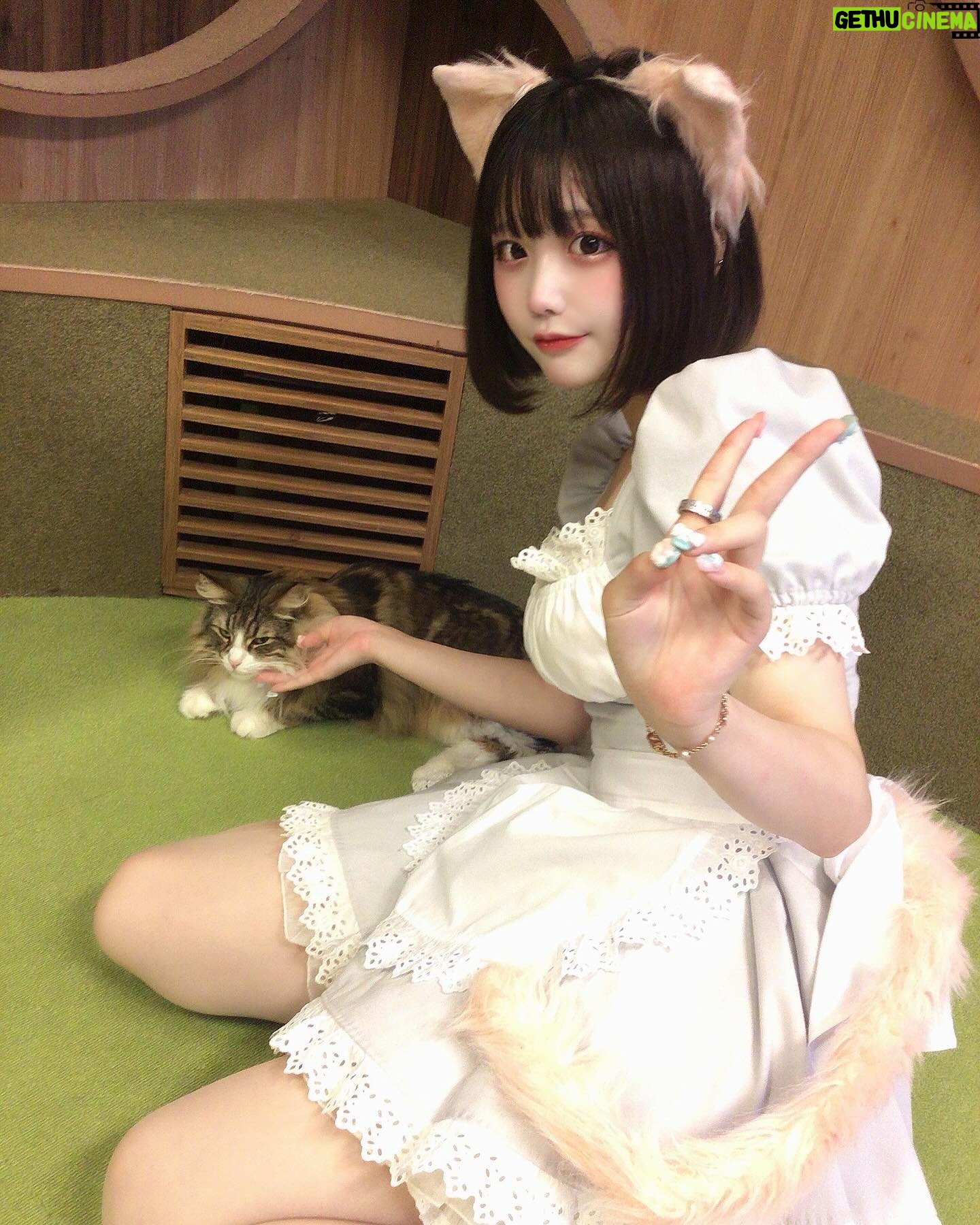 Hina Koyama - 2.6K Likes - ねこちゃんズ