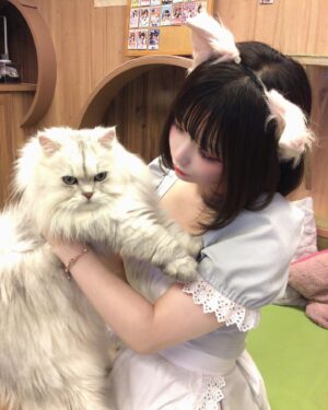 Hina Koyama Instagram - ねこちゃんｽﾞ