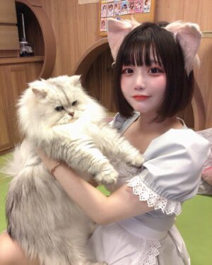 Hina Koyama Instagram - ねこちゃんｽﾞ