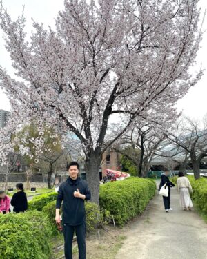 Hirofumi Yoshimura Instagram - ちょっとまだ早かったけど、この桜は満開やったわ。来週はすごいことなりそうやね。