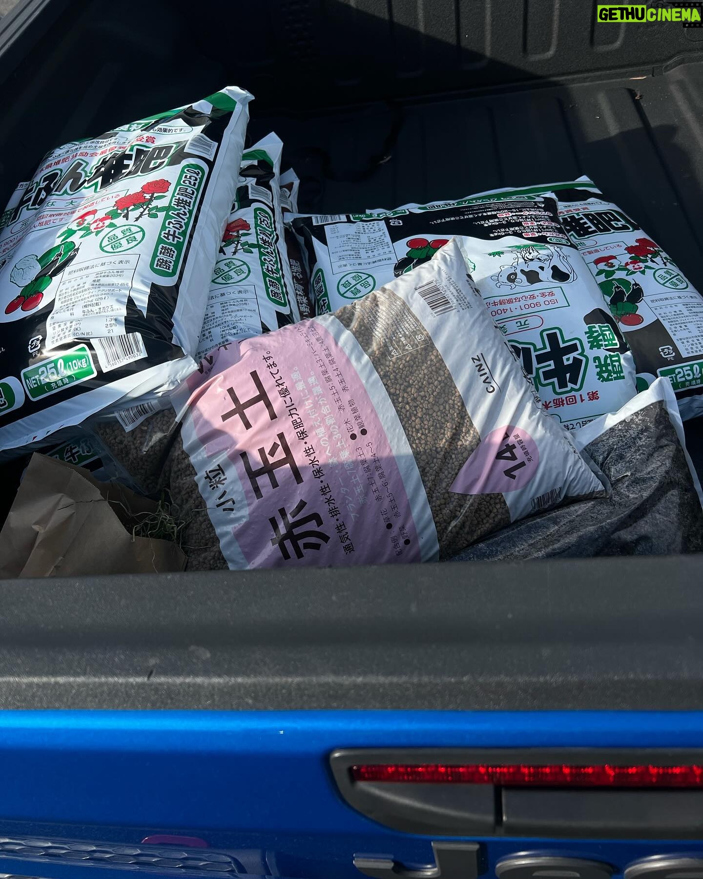 Hiroyuki Ikeuchi - 2.1K Likes - グラディエーター最終日。
楽しく、便利な車でした!またいつか乗りたいなー🛻これでキャンプ行きたかった🏕️