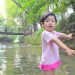 Hong Hyun-hee