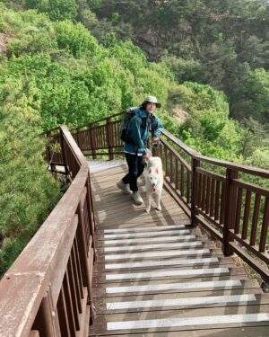 Hong Jong-hyun Instagram - 진이랑 오랜만에 등산🤟🏻⛰️
#ad #kolonsport #코오롱스포츠