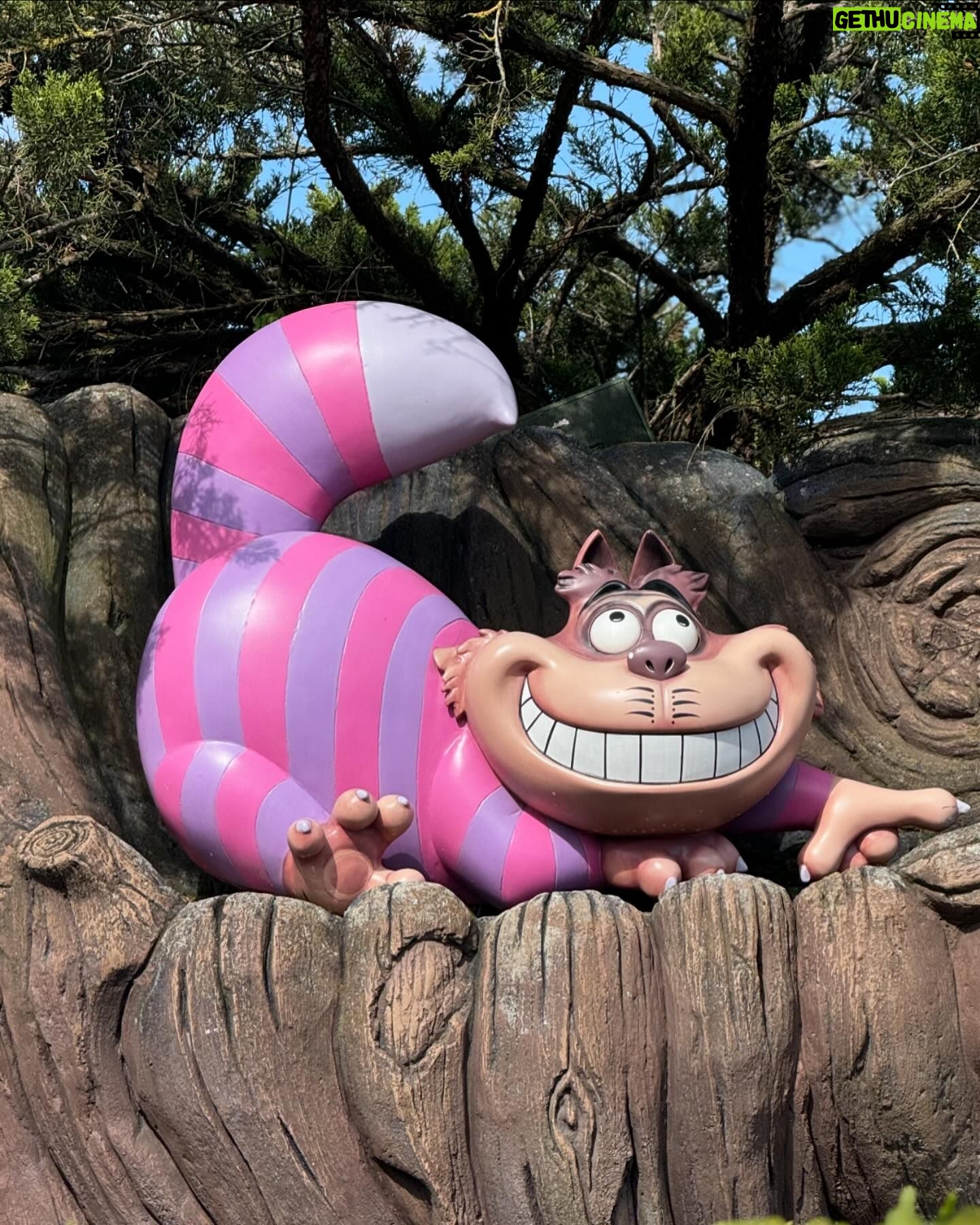 Horia Brenciu - 5.2K Likes - Cu ai mey, la Disney! š„³ Meritau! In ultimele luni, numai de Shrek s-a auzit prin casĒ! In plus, au fost Či din calea-afarÄ de cuminČi! š