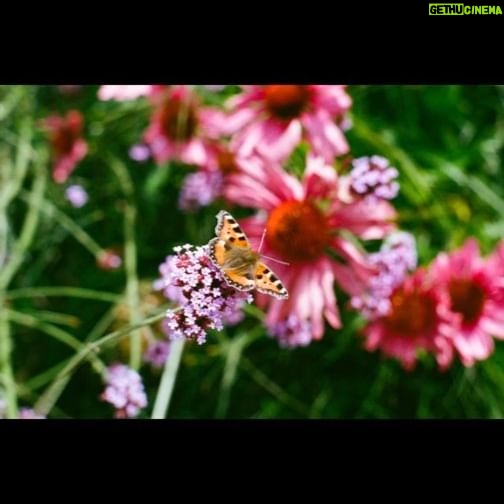 Hozier - 320.2K Likes - Seemed a shame not to let folks hear this in July. New EP coming soon, much love <3