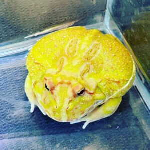 Hsin-Wei Chen Instagram - daily’s