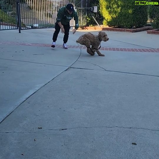 Hunter Payton - 141 Likes - Happy 2nd Birthday to the best Chase Tag Speed training partner I could ask for🎂🐾❤️ @finsterthedoodle you make me faster and better every day
#FinsterTheDoodle #Finstershenanigans #worldchasetagpractice #dogtraining #chasetagdog