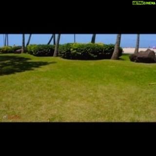 Hustle - 3 Likes - Hawaiian 🌺 weddings are the best.
•
•
•
•
•
•
•
•
•
•
•
•
•
•
•
•
#DJHustle #hawaii #oahuhawaii #oahuwedding #hawaiiwedding #oahu #family #dj #hawaiian #hawaiilife #hawaiibeaches #hawaiistagram #photobooth #cheehoo #hitonhawaiianvillage