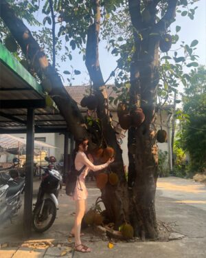 Hwang Se-in Instagram - 태국 3번째임에도... 처음 봉 나무🧐
두리안인줄 !! 
처음알았다 #jackfruit
그럼 두리안 #durian 나무는 뭐야??