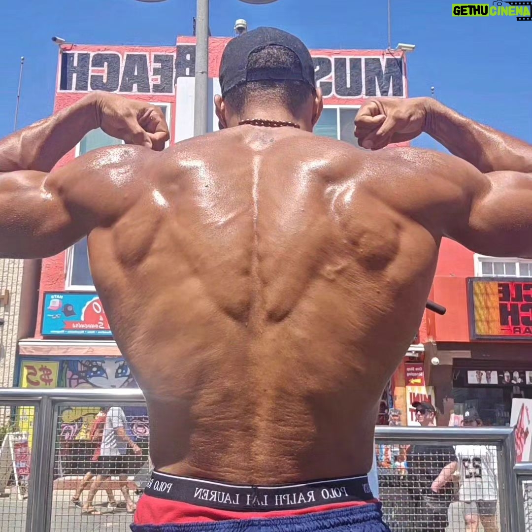 Ike Catcher - 371 Likes - We Back like that! #biggestmanonthebars #back
Spreading my lats like they are wings Sit in the sun like im the sphinx #ikeCATcher #kingofmusclebeach