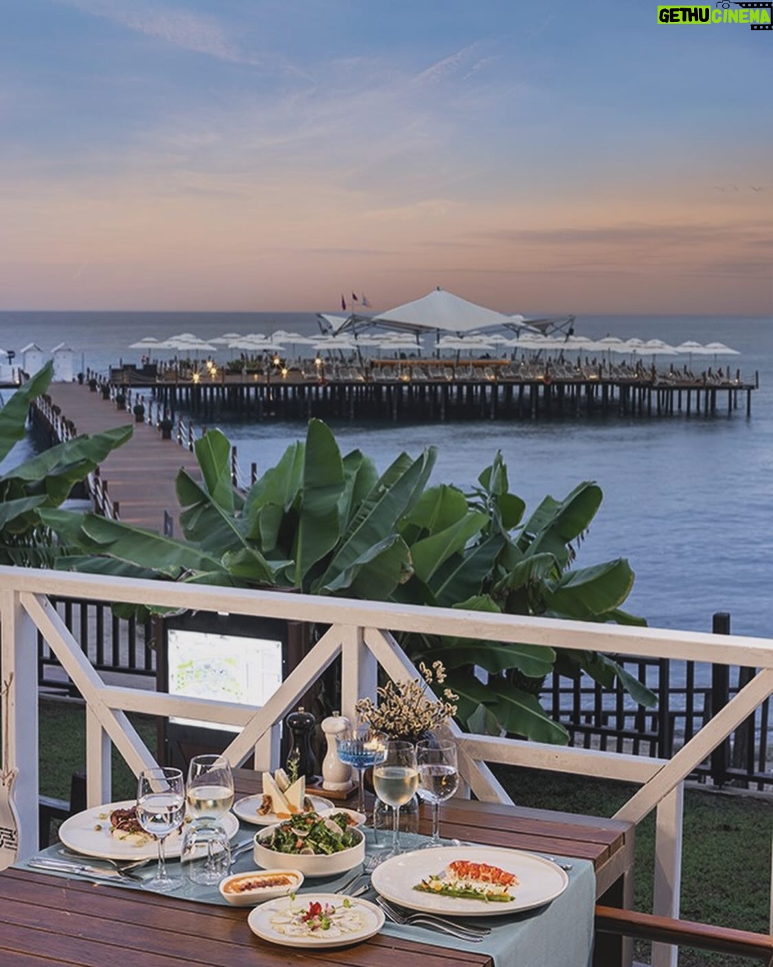 İlay Erkök - 20.9K Likes - I recently had the pleasure of staying at @elexushotel and I must say, it was an exceptional experience from start to finish.