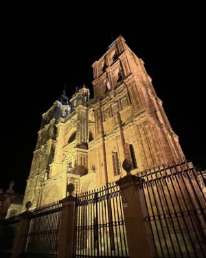 Irene Junquera Instagram - ASTORGA
1. A puntito de empezar…
2. Una floristería preciosa que encontré.
3. El Teatro Gullón antes de que se abrieran las puertas.
4. Palacio de Gaudí.
5. Mi paseo matutino.
6. La Catedral de día.
7. La Catedral de noche.
8. Lo que hicimos justo antes de empezar… 😜
