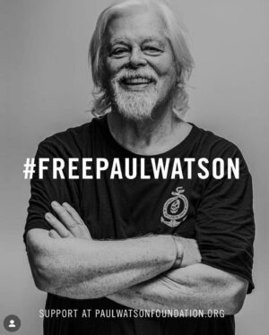 Isabel Lucas Instagram - A month ago ocean conservation hero @captainpaulwatson was arrested by Danish police in Greenland.

@captainpaulwatson has dedicated his life to saving whales and to the duty of protecting our oceans.

Anyone who is willing to risk their lives to safeguard the sentient guardians of the sea deserves our time, effort and gratitude.

Paul is a friend - thank you for helping us help him. 

Sign the link in @captainpaulwatson bio. Write to the Danish embassy and Prime Minister for his release and to refuse his extradition to Japan.
And in Australia, call on Australian MP @albomp to intervene.

Authorities claimed the arrest was due to an international warrant issued by Japan related to his nonviolent actions against illegal whaling. 

Protecting wildlife and our ocean is not a crime.
#FreePaulWatson 🐋