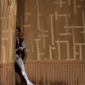 Isabella Boylston Instagram - Thank you to everyone who came to the show on Monday! The Met was completely packed and you were the most lit audience! I had been working so hard for this day and was soooo nervous beforehand, but once we got out there I felt totally free and in the moment, which is all I ever wish for. Thank you @camargosart @josemlsebastian and all my swan sisters for making this one to remember 🦢❤️