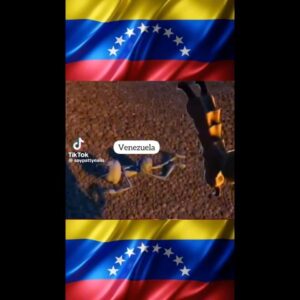 Isabella Santodomingo Instagram - Casi nunca hablo de política pero, ante todo lo que está pasando en el mundo, éste no es momento de callar. Por eso quiero utilizar hoy este espacio y dirigirme a esta comunidad bonita conformada por cada uno de ustedes, para manifestarle mi apoyo a los hermanos Venezolanos en su lucha por la libertad tras 25 años de dictadura. Es hora de que el pueblo Venezolano recupere su país y deje de estar en manos de quienes lo han empobrecido, de aquellos que lo han maltratado, de quienes les han robado sus recursos naturales, la libertad, los sueños y, hasta, la vida, en algunos casos a amigos y familiares. Ya basta de amenazas, ya basta de utilizar a la fuerza pública para atacar a sus mismos hermanos a quienes debían proteger, no sólo a un infame y vulgar bigotudo que se cree rey. Ya basta de discursos cizañosos que los mantienen divididos, ya basta de migrar, de separarse de sus seres queridos, de arriesgar hasta la propia vida por salir de un país que aman pero en el que sienten que ya no se puede vivir. Hermanos Venezolanos, mañana es un día histórico, no sólo para ustedes sino para todo el continente. Voten masivamente, no se queden en sus casas, protejan a los testigos en las mesas de votación, no descuiden ningún puesto, ningún voto, no se dejen engañar y fíjense bien a la hora de votar que lo que está en juego es su futuro y ésta es tal vez la oportunidad más clara que han tenido en tantos años de hacer ese necesario cambio que todos en el mundo queremos que se de para ustedes. Y, aunque intenten hacer trampa — ninguna dictadura se va así porque sí — sean tan contundentes en el resultado que a los bandidos no les quede otra que salir! Los buenos somos más, estamos contigo Venezuela y te queremos libre y capaz! (Pilas Colombia, dejen de pensar que aquí no puede pasar algo así… ya está pasando y es hora de abrir los ojos, estar atentos y defender la democracia. OJO: No debemos darla por hecho. Porque es  un privilegio que debemos defender hoy y siempre si no queremos que nos la roben los corruptos y tengamos que padecer 25 años como lo ha hecho el valiente pueblo Venezolano que hoy sale a recuperar su libertad!) #venezuela🇻🇪 #venezuelalibre