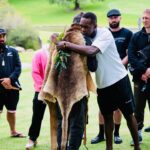 Israel Adesanya