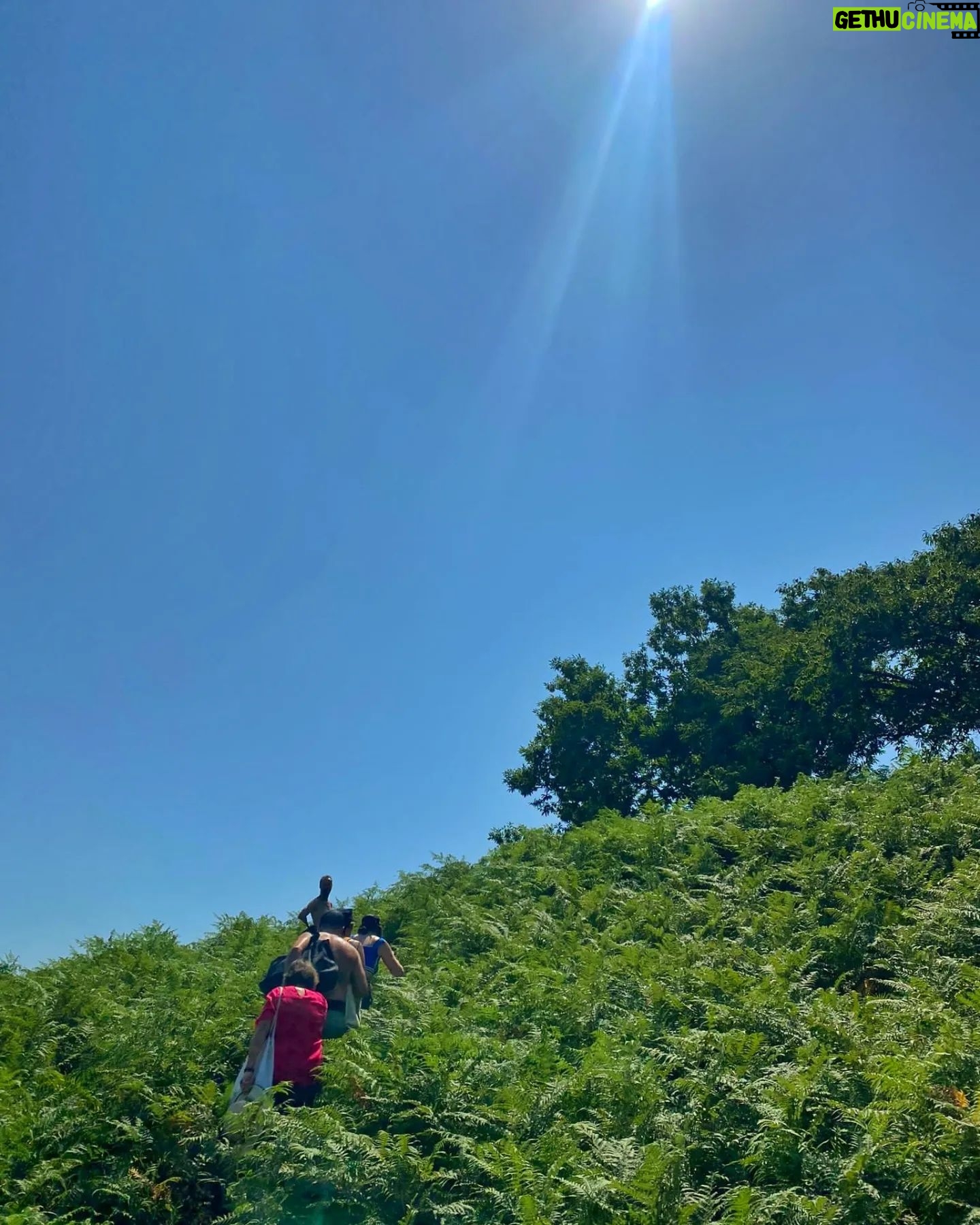 Itziar Ituño - 80.1K Likes - "O céu sempre esta aqui, viu?
nesta canção
na aldeia e na cidade
na selva e no sertão
Ponta da Baleia
diz
canta nova amiga
con estrelas e raiz.
Todos somos filhos, viu?
todo e circular
chuva, vida e morte
o tempo e o ar
o planeta inteiro
diz
canta nova amiga
con estrelas e raiz."
Sara-ko borda batean...
Maite maite zaituztet!
Esker mila, Jamixel, hau oparia 🌟
#irati #iratifilm
@iratifilm
@elenauriz
@esagardoy
@kepaer
@nerth
@paulurkijoalijo
@iaranbarri
@jamixel.bereau