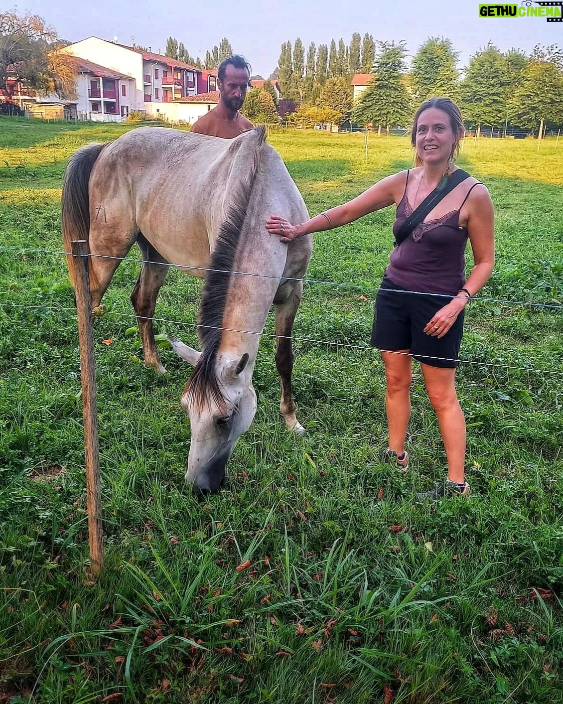 Itziar Ituño - 80.1K Likes - "O céu sempre esta aqui, viu?
nesta canção
na aldeia e na cidade
na selva e no sertão
Ponta da Baleia
diz
canta nova amiga
con estrelas e raiz.
Todos somos filhos, viu?
todo e circular
chuva, vida e morte
o tempo e o ar
o planeta inteiro
diz
canta nova amiga
con estrelas e raiz."
Sara-ko borda batean...
Maite maite zaituztet!
Esker mila, Jamixel, hau oparia 🌟
#irati #iratifilm
@iratifilm
@elenauriz
@esagardoy
@kepaer
@nerth
@paulurkijoalijo
@iaranbarri
@jamixel.bereau