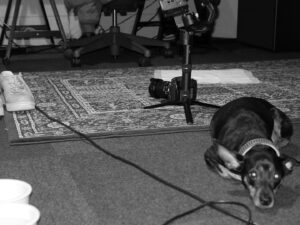JOHN Instagram - - disconnected memories (1) -