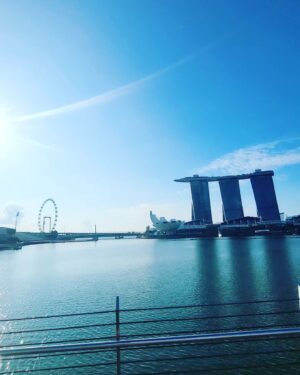 Jack Wu Instagram - 潮流興跑步遊歷景點, 你吔有冇聽過。。
跑步導賞團有得諗喎。。haha

#morning #8km
#Gardenbythebay
#marinagardensdrive
@adidashk @jamieiiu
@oakley @mandychan_alixzoe
@polarhongkong