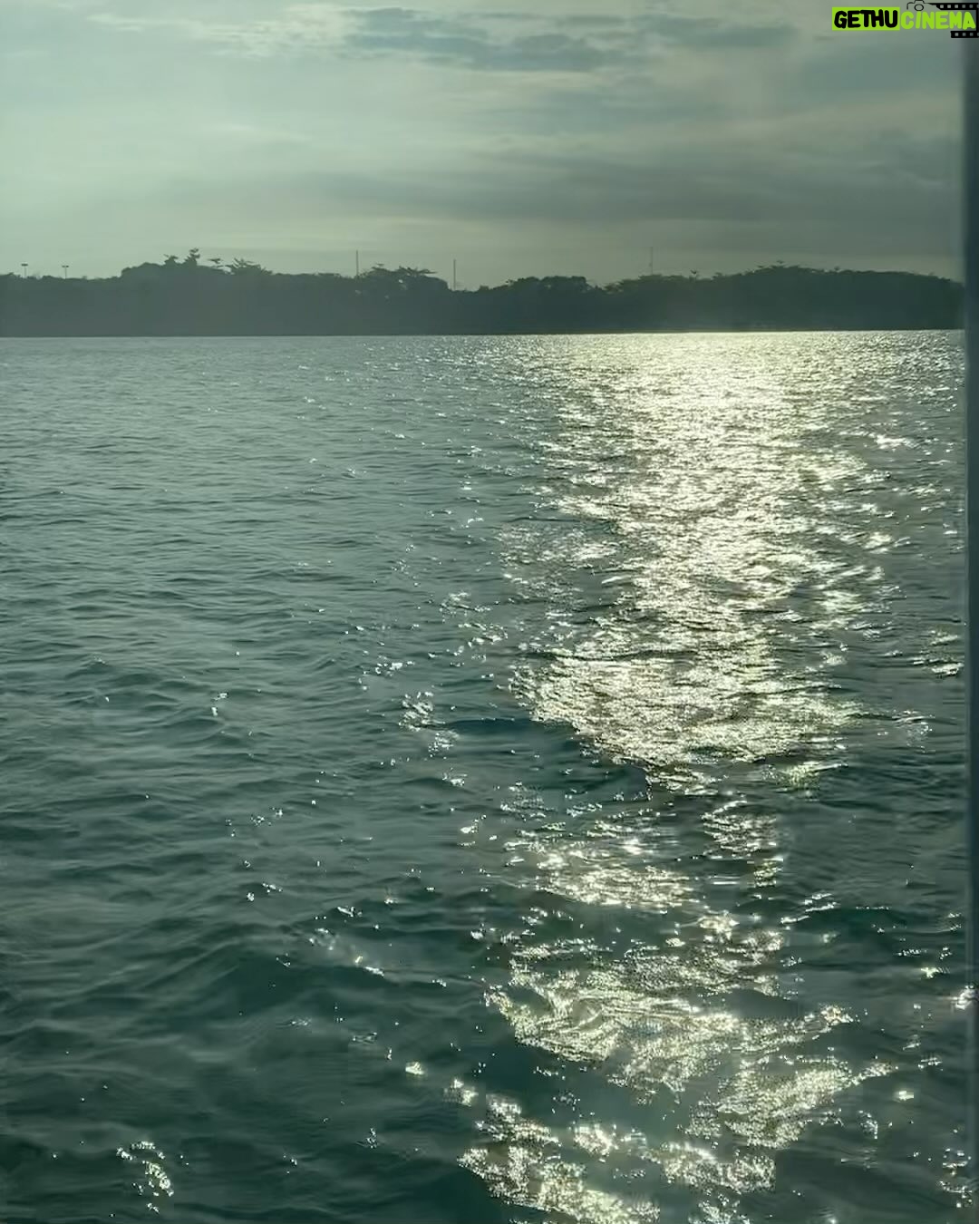 Jaffar Bambirra - 2.5K Likes - dia e noite, vivemos bahia intensamente