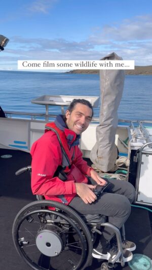 Jaimen Hudson Instagram - Come shoot wildlife with me 📸
.
I love that I get to capture and share unique wildlife moments like this. 
.
I appreciate you all following along this journey 
.
#wildlife #dolphin #australia #nature #ocean #wheelchair
