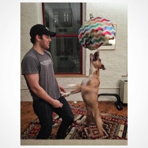 Jake Lacy Instagram - Man teaches doggo to kill weakest member of the herd 🎈☠️