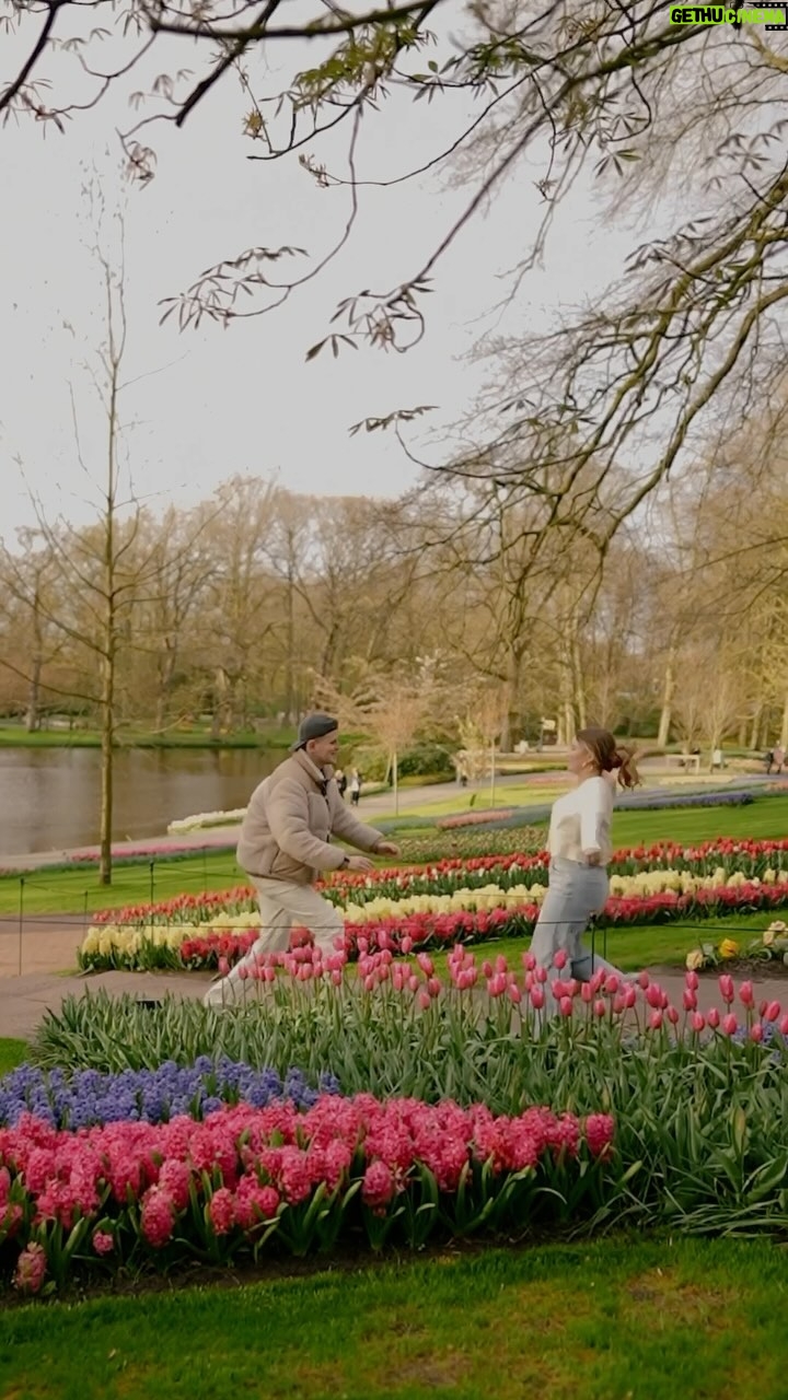 Jamie Birrell - 6.2K Likes - my heart needed you. 🌼🌷
#couple #relationship #flowerfield #holland