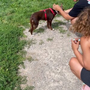 Jan Delay Instagram - was für ein perfekter tag 💚💚💚 wir haben auf @gut_aiderbichl_official gespielt, einem gnadenhof fur tiere aller art, bei salzburg. tollste leute und tiere, vor und hinter den kulissen 😍🥰🙏 unendlichsten dank für dieses erlebnis und diesen fantastischen rave 🔥💥🎶🪩💃🏾🕺
.
#foreverjan #bestof #album #tour #gutaiderbichel