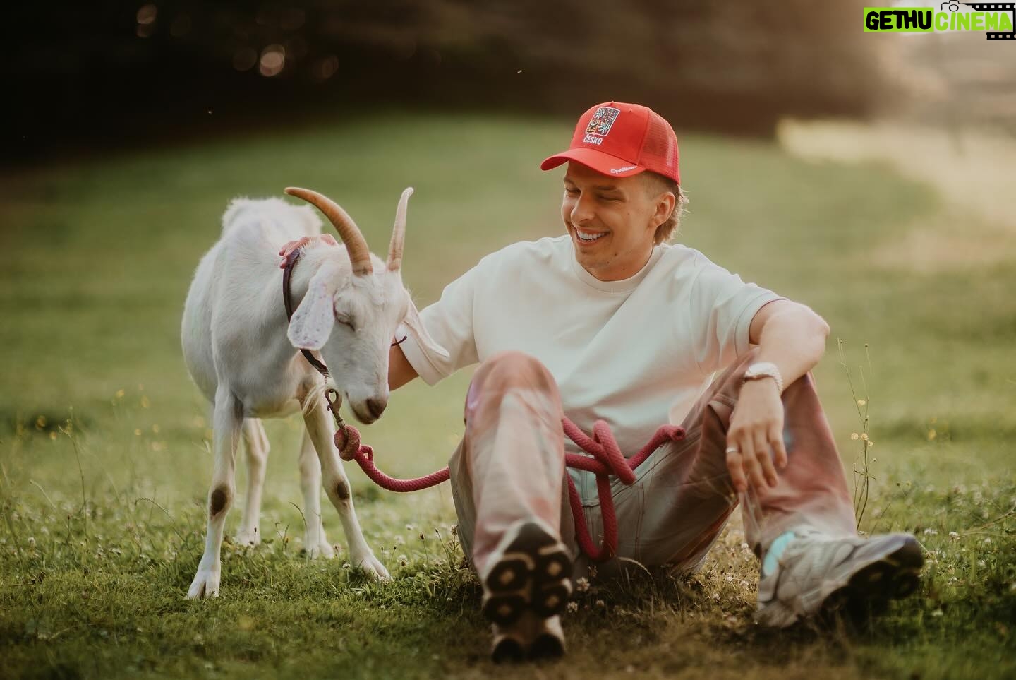 Jan Macák - 39.6K Likes - Já a zvířata | 📷 @_pjubs_