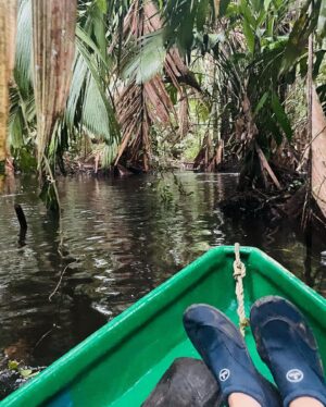 Jane Moore Instagram - Apologies for the photo dump but I’ve been waiting for this holiday with my daughters for three years and can’t quite believe we have finally made it after several Covid-related cancellations. We’re in #costarica and, wow, what a country. It feels like it belongs to the wildlife and we humans are mere guests. Our first stop was the #tinyhouse near Siquerres then on to stay in a school bus in #puertoviejo before heading to #tortuguero to see turtles, sloths and monkeys. Truly magical.