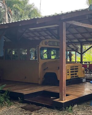 Jane Moore Instagram - Apologies for the photo dump but I’ve been waiting for this holiday with my daughters for three years and can’t quite believe we have finally made it after several Covid-related cancellations. We’re in #costarica and, wow, what a country. It feels like it belongs to the wildlife and we humans are mere guests. Our first stop was the #tinyhouse near Siquerres then on to stay in a school bus in #puertoviejo before heading to #tortuguero to see turtles, sloths and monkeys. Truly magical.