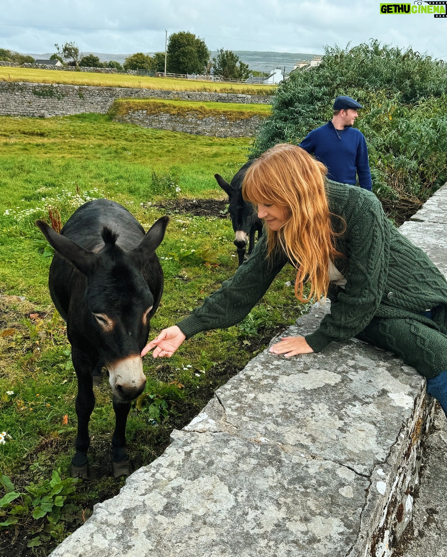 Jane Seymour - 8.5K Likes - Made a new friend today! 🫏 He’s sweet but a little stubborn… 😉