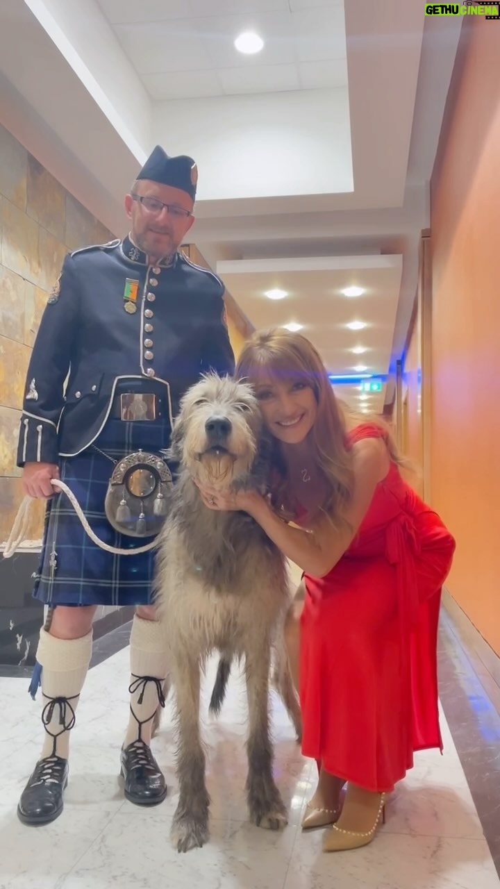 Jane Seymour - 8.7K Likes - Celebrating #NationalDogDay a day later to introduce you to this gorgeous Irish Wolfhound! 🥰 🐕 Tell me about your favourite furry friend(s)!