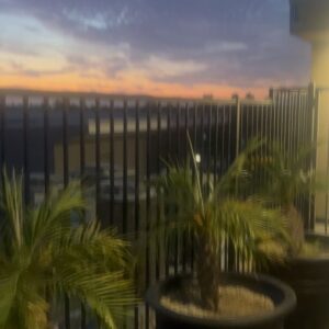 JeCobi Swain Instagram - 🌕🌙🌅Sunset and rooftop talks about angels that I’ve been able to see since I was little. Fun night✨🌇✝️ #deepconversations #Godscreation #sunset #sunsets #moon #moonlight #light #peace #peaceful #scenery #nature #grateful