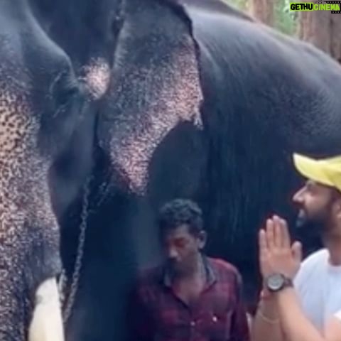 Jeet Raidutt - 130 Likes - My Big Brother from Jangle ⨠#king
#elephant #elephantš #elephantlove #elephantlover #elephantsofinstagram #elephantfamily