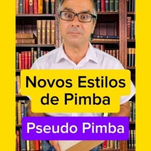 Jel Instagram - 3- Pseudo Pimba
#novosestilosdepimba