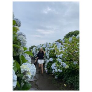 Jeong Hye-young Instagram - 🩵수국정원